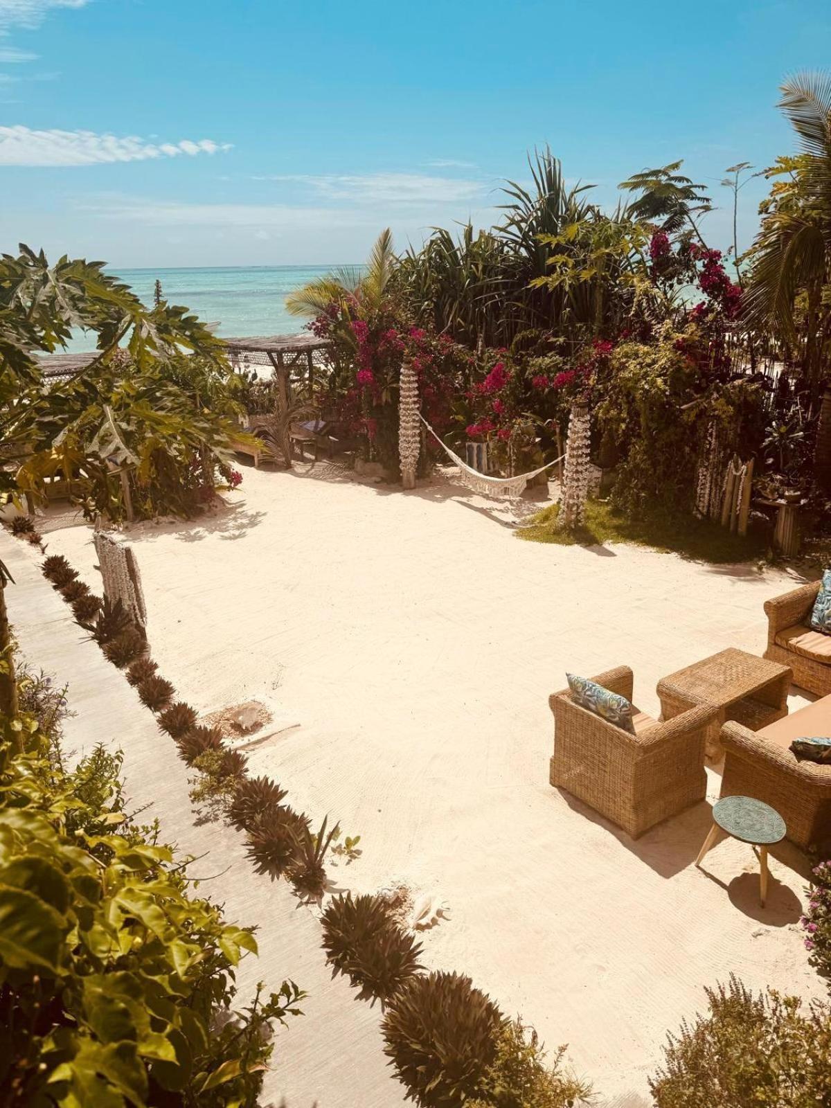 Boheme Zanzibar Bed & Breakfast จัมเบียนี ภายนอก รูปภาพ